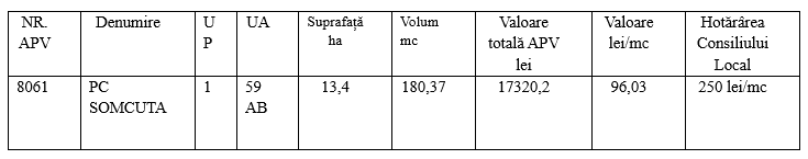 h21.jpeg